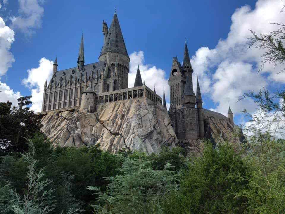 Bonus: Something Magical to Look Forward To