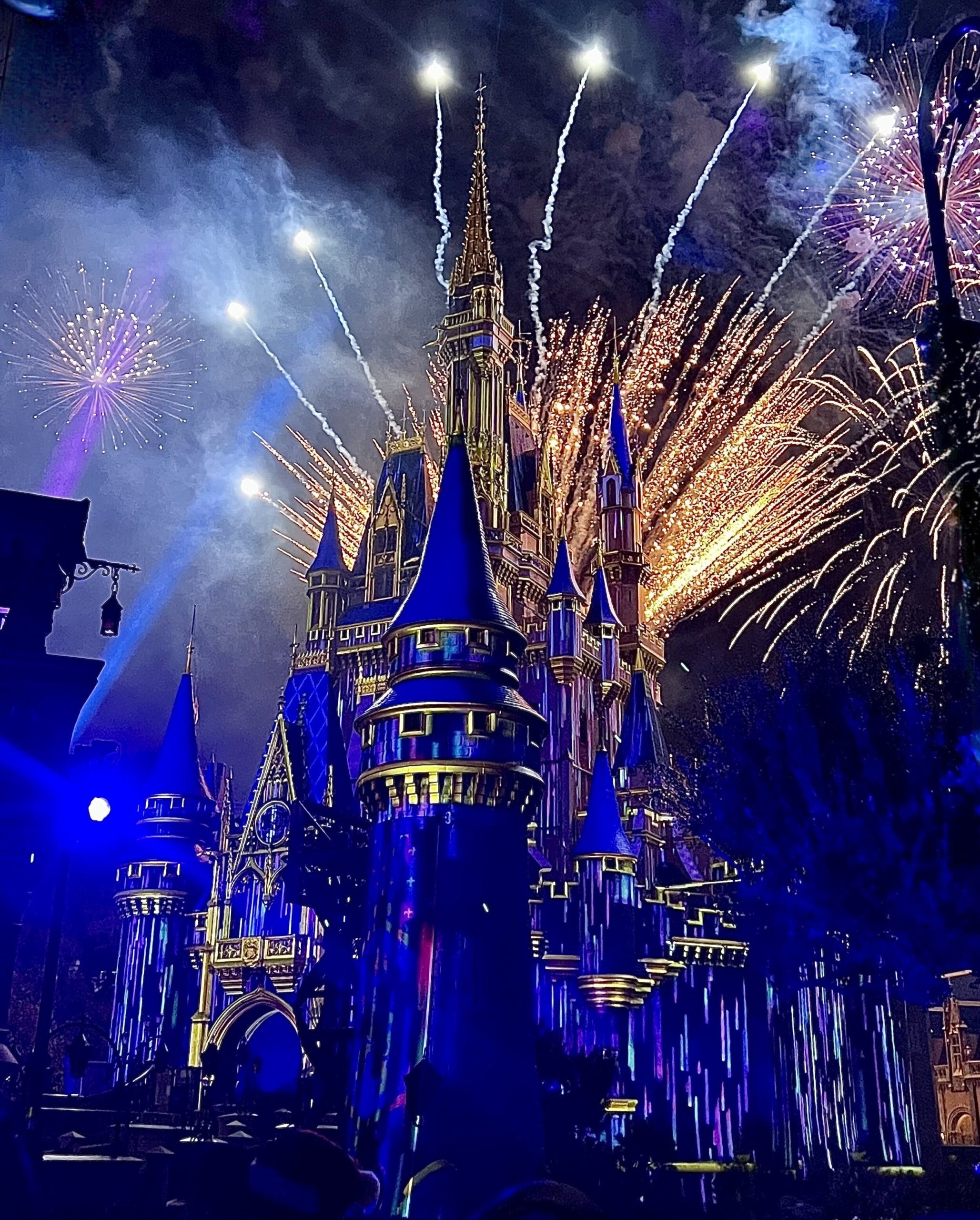 What Does Your Party Ticket Include?