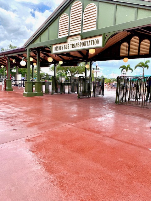Transportation Options at Disney World Resort Hotels