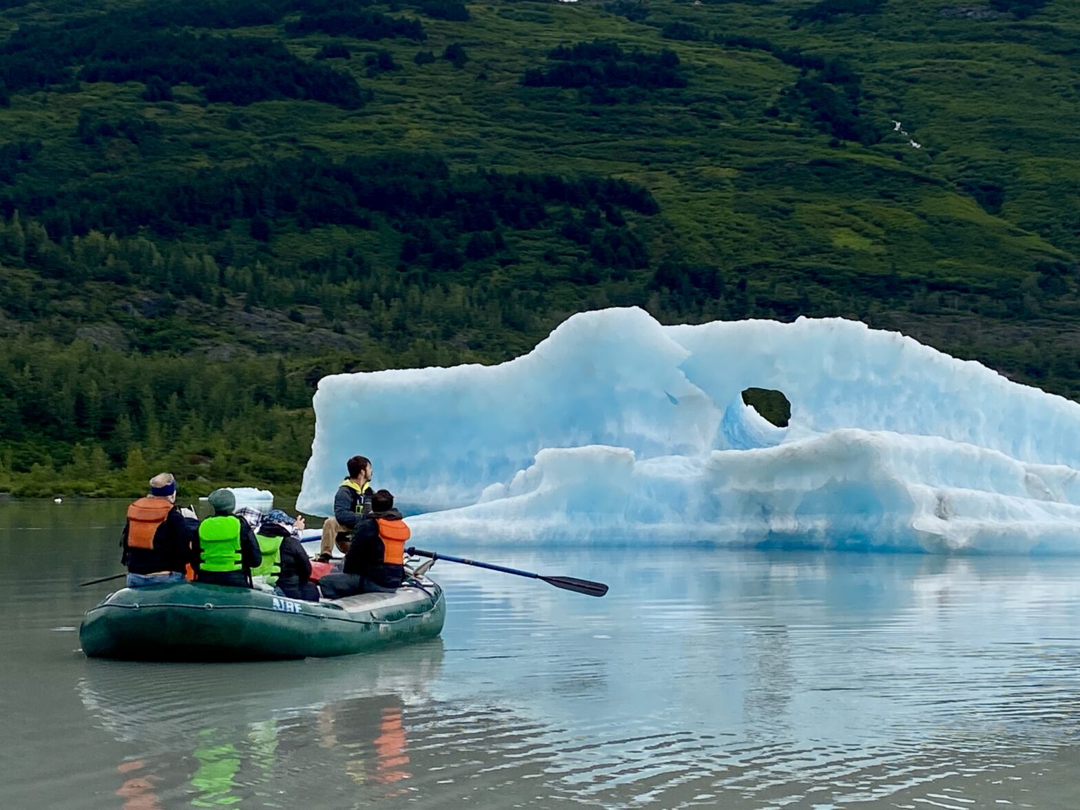 Adventures by Disney Land Tours vs River Cruises