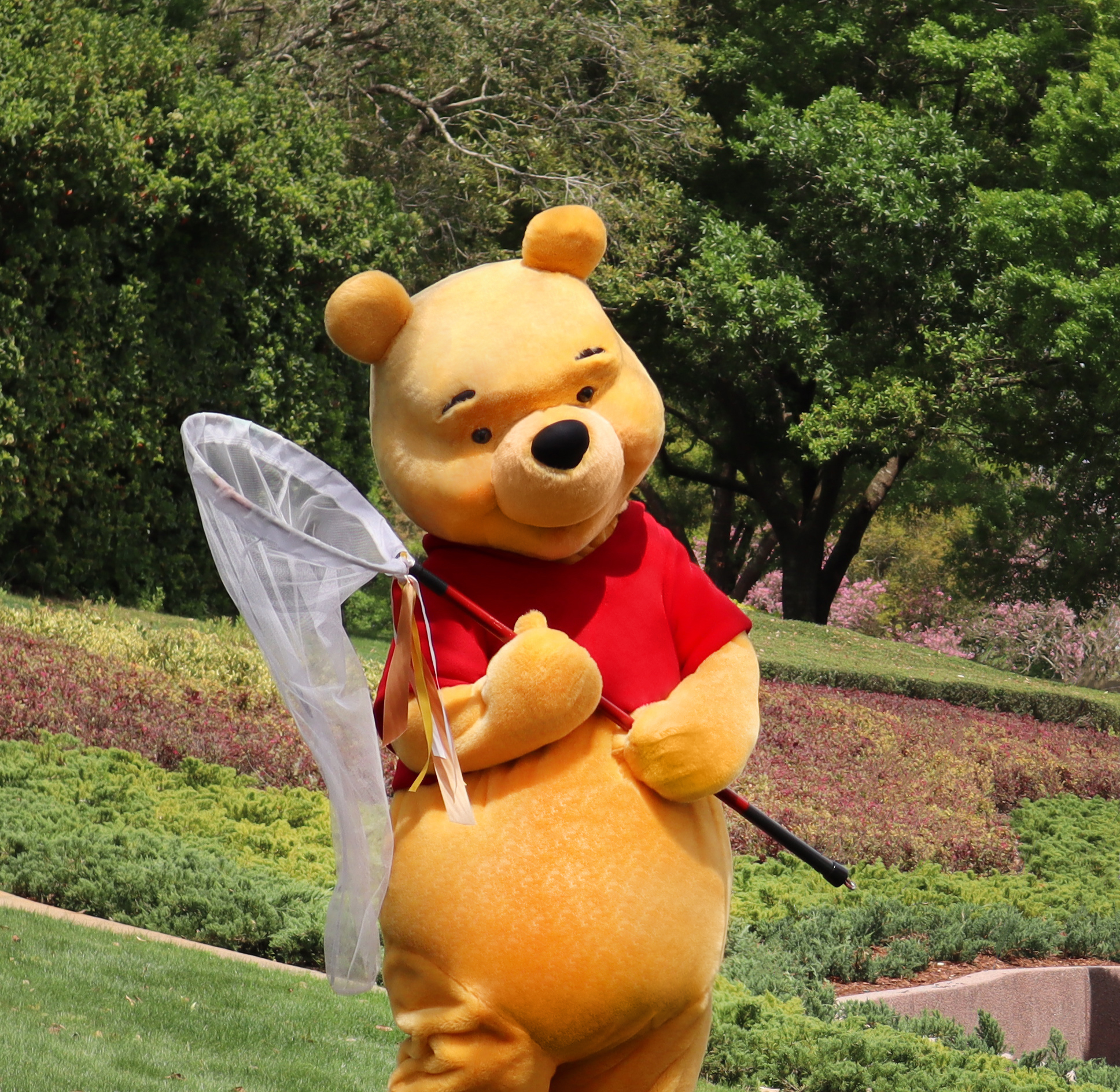 Festival Activities for Families