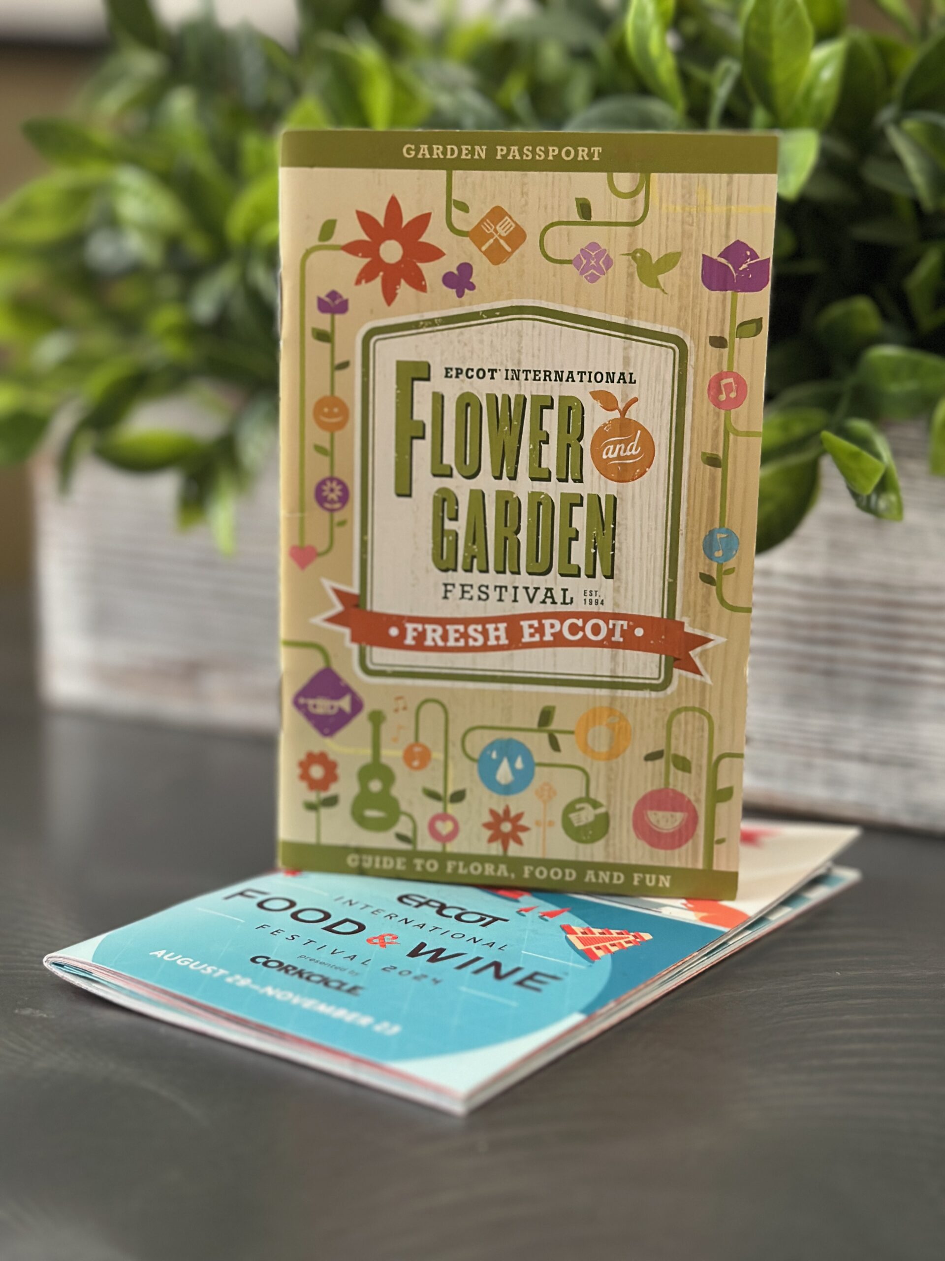 Outdoor Kitchens and Fresh Festival Flavors