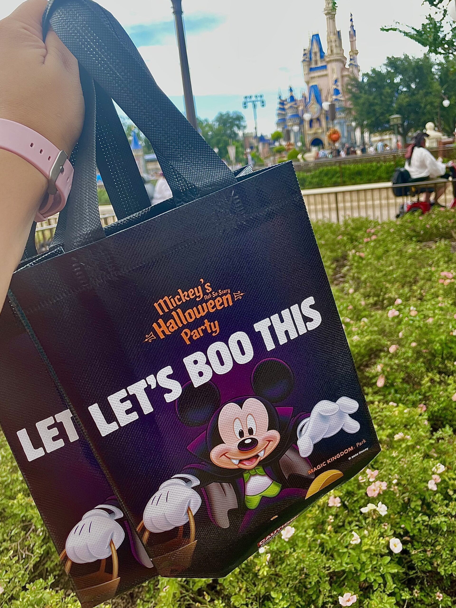 Mickey’s Not-So-Scary Halloween Party Guide | Walt Disney World Resort